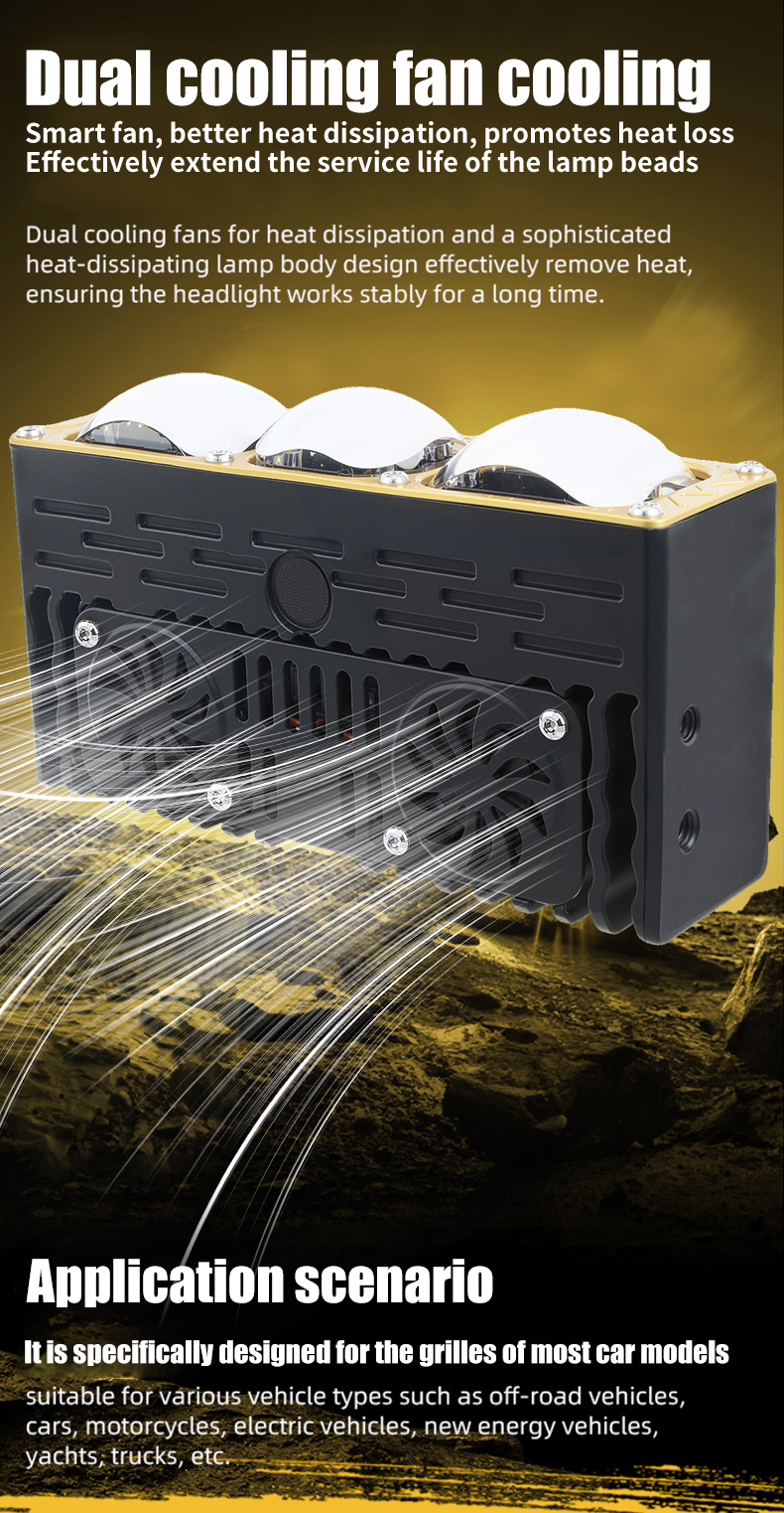 金色详情---英文-无logo_10