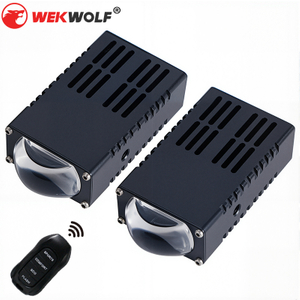 Đèn chiếu sáng tưới tiêu siêu sáng 12V với điều khiển từ xa 65W LED màu trắng và vàng LIDO LIVERNE